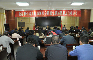 金塔县召开非公经济组织和社会组织党建述职暨工作推进会